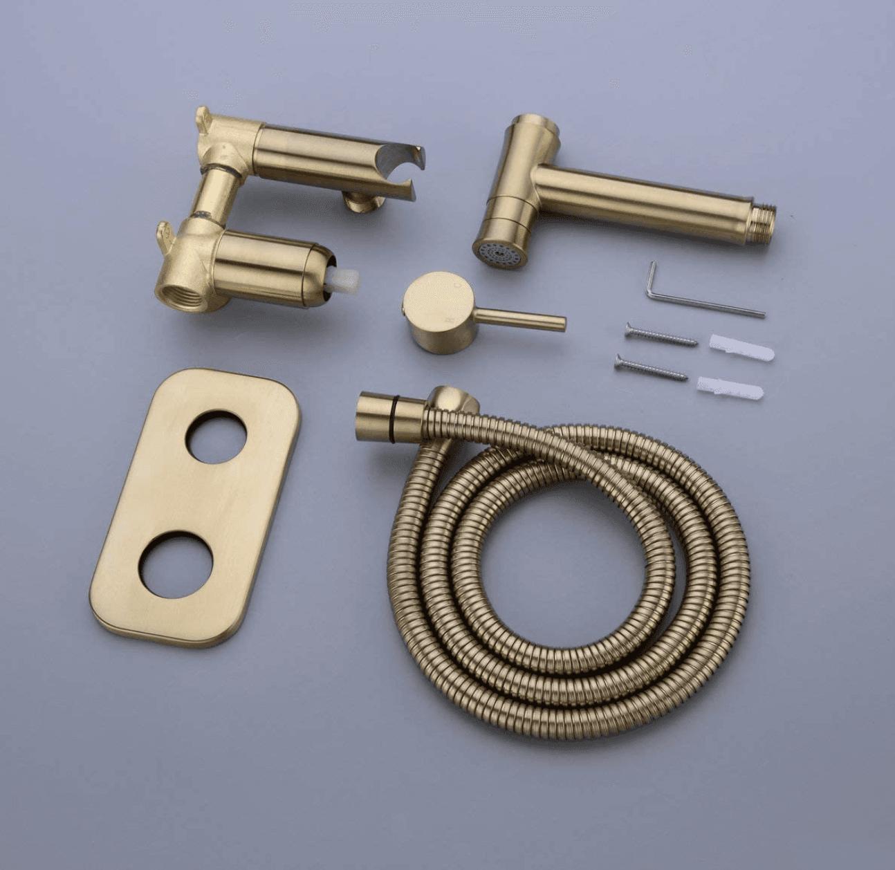 Miscelatore bidet da incasso a parete BB1637 oro spazzolato